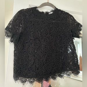 Zara Lace and Embroidered Going Out Top